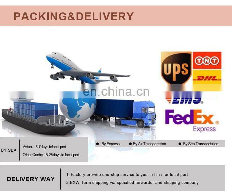 RONIKI OEM Nail Art Design Drawing UV Gel Painting Color Gel Nail Gel Polish