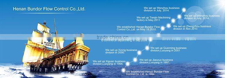 Flange Forged steel globe valve JIS / API Standard