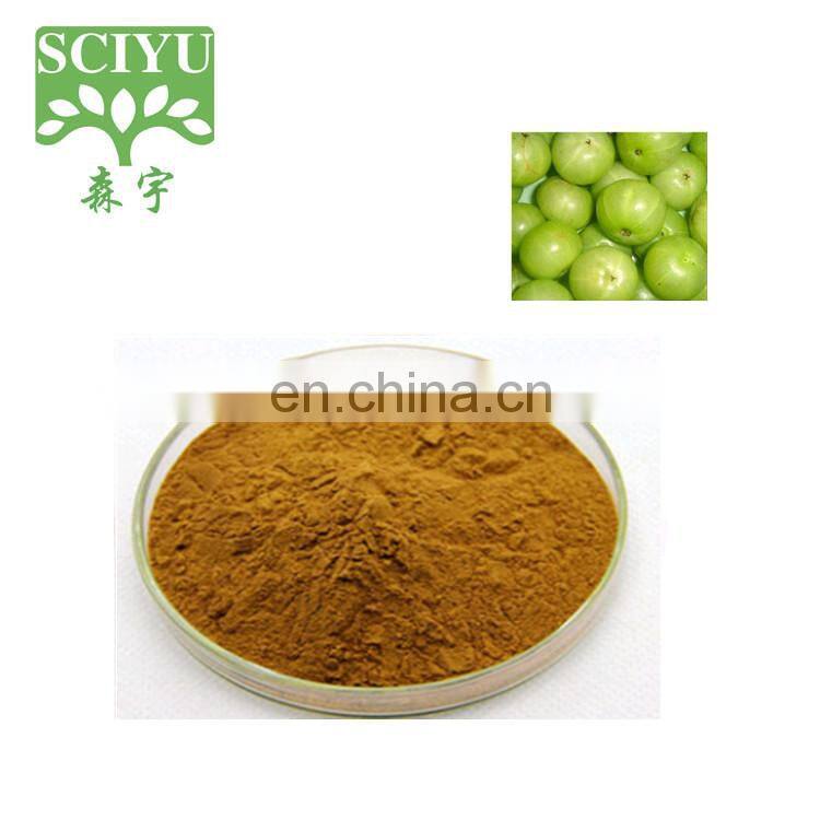 100% Natural 10:1 20:1 Amla Phyllanthus emblica Extract powder