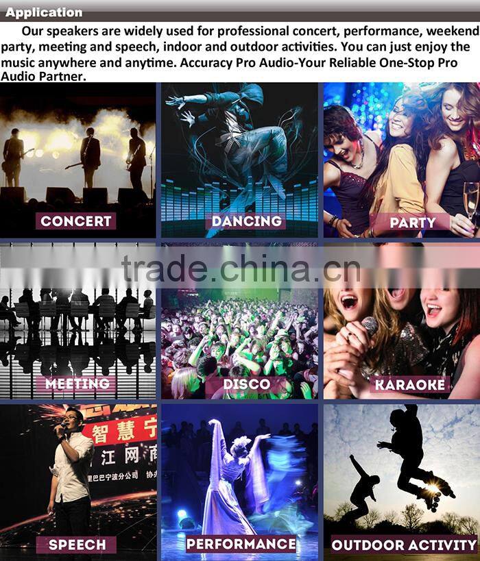 Professional Stage Audio 12" Speaker WI12