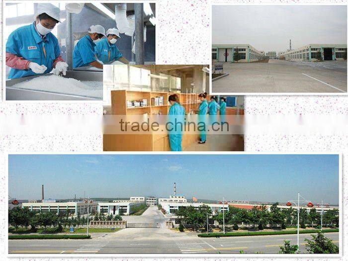 cat litter with the manufacture in China