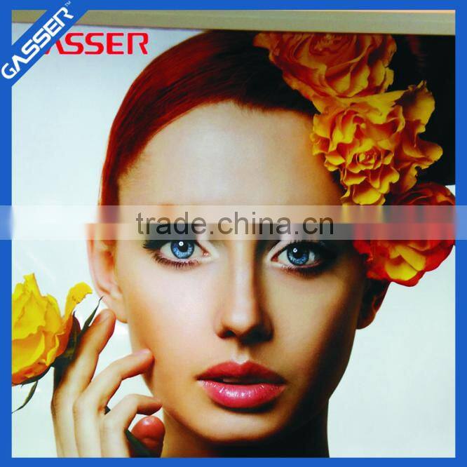 Fatory custom UV 3d print pvc flex lantern banner