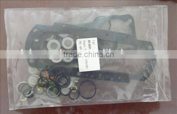 Fuel Injection Repair kit Set 80 0644