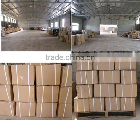 Stainless Steel 302ss Customed Torsion Spring