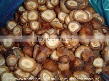 Frozen Shiitake mushroom 2012 hot sale