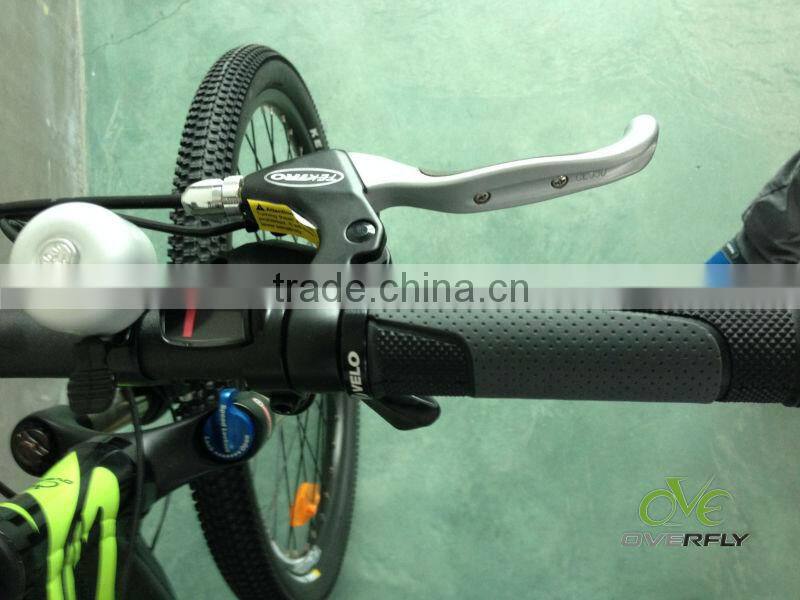 250 W rear brushless motor bike mountain electric bike XY-TDE05Z