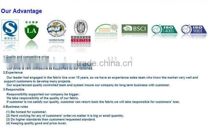 2/1 twill high density nylon down coat fabric