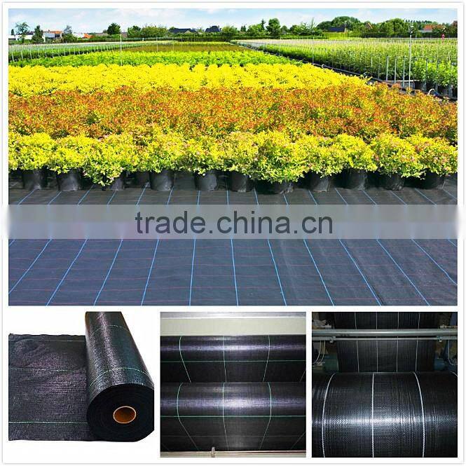 High quality woven fabric,pp weed mat for Garden
