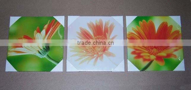 Frame Canvas fit painting