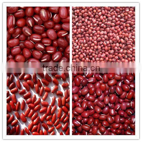 China Small red beans for sale