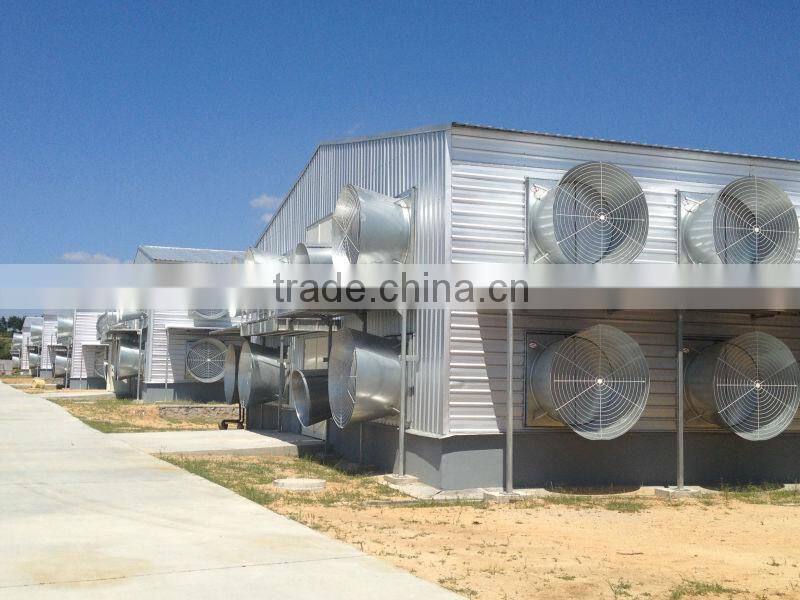 design layer chicken cages for poultry chicken farm