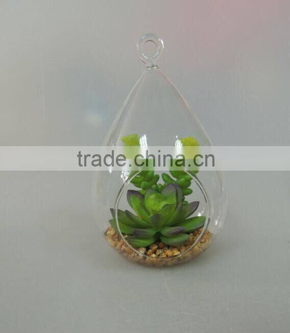 high quality with glass ball plants for home decoration