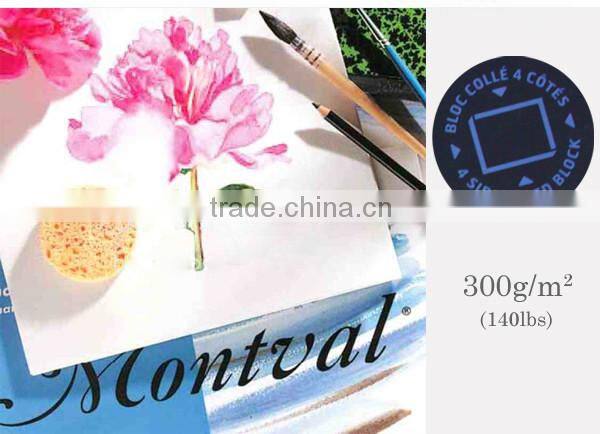 Professional Watercolor Paper 300g for painting 12 sheets