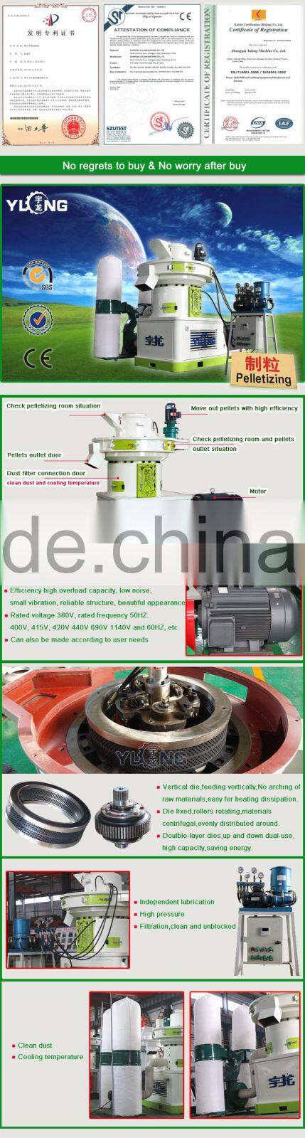 Hot Sale Rice Husk Pellet Mill for Sale