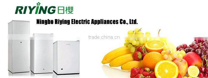 double door design for refrigerator BCD-206