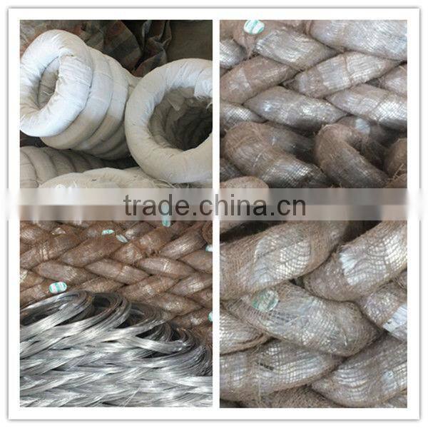 Hot Saled Galvanized Wire