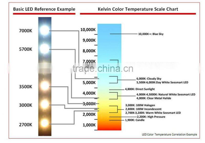 DC12V 5050 60LED/M waterproof led strip light with white FPC+power supply single color christmas light