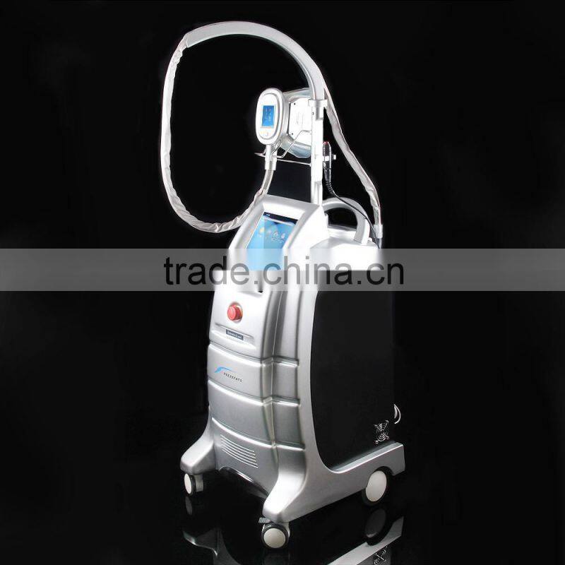 Factory price 3 changeable handles cryolipolysis freezing equipment, vertical cryolipolysis fat freezing machine