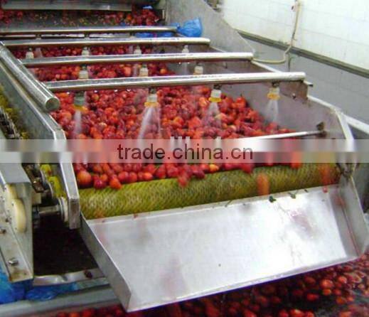 Frozen Strawberry best selling products