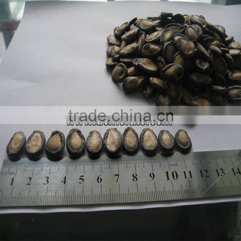 Hot Products Delicious Watermelon Seed