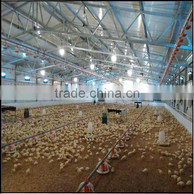 High quality Poultry Broiler and layer house