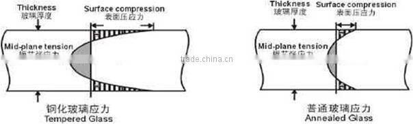 3-19mm Glass Stair Railing