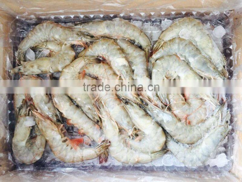 HL002 frozen seafood frozen shrimp exports