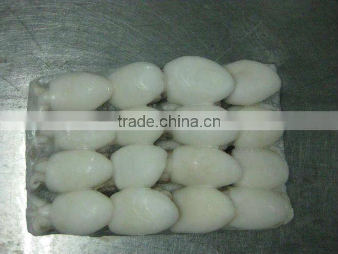 Baby Cutle Fish/Frozen Baby Cutle Fish/Vietnam Seafood