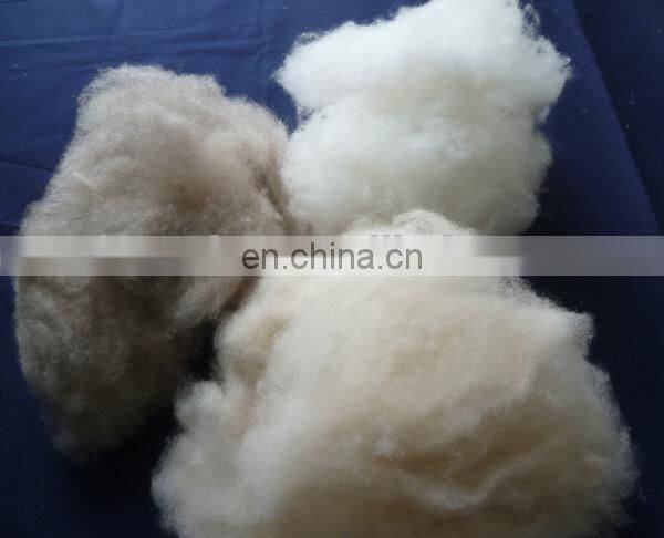 dehaired Inner Mongolian cashmere fiber tops white