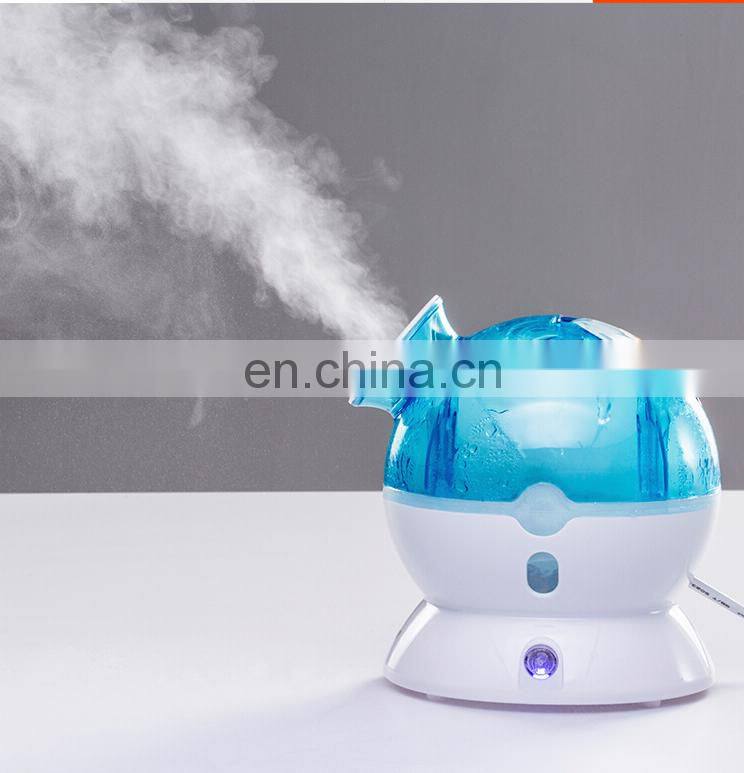 2019 Hot Selling Home Skin Care Nano Spray whitening Portable Egg Lon Facial Steamer