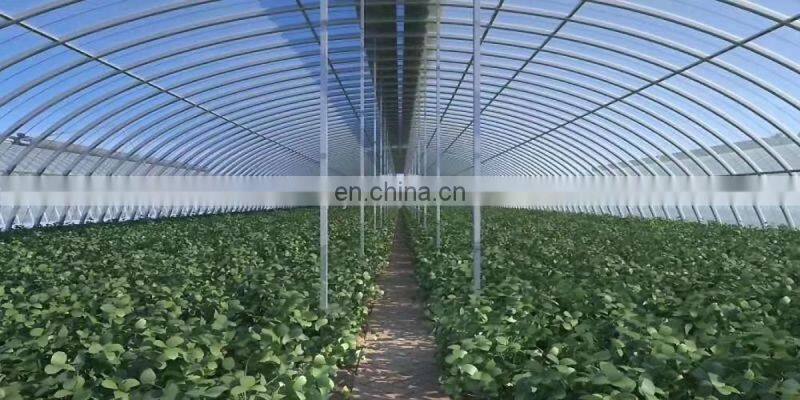 China Youfa brand Hot dip galvanized steel pipe