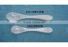 Caviar Mother of pearl spoon from VITRAPRO