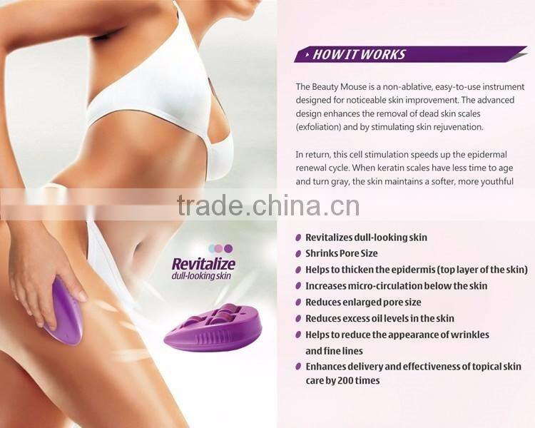 Fashion Mouse Skin Care Roller 3 In 1 Stainless Micro Needle Therapy Face Needle Roller Massager