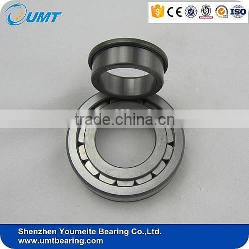 High Precision Cylindrical Roller Bearing NU1005