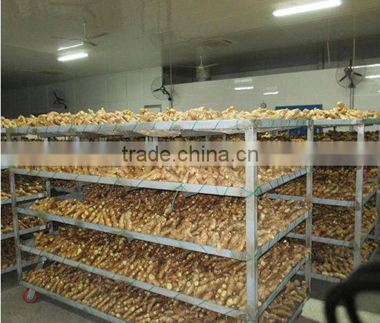2015 new crop high quality fresh ginger for sale