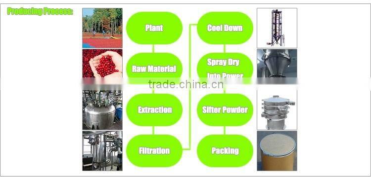 100% Pure Raspberry Extract 4%-20%Ketone HPLC