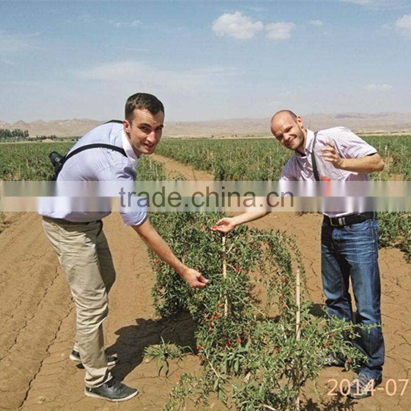 FDA registered USA organic goji berries wholesaler