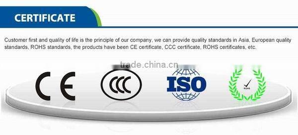 Welding Machines, Outdoor Generator Driven ARC Welder, Honda Petrol Engine & 6.5L Oil Tank