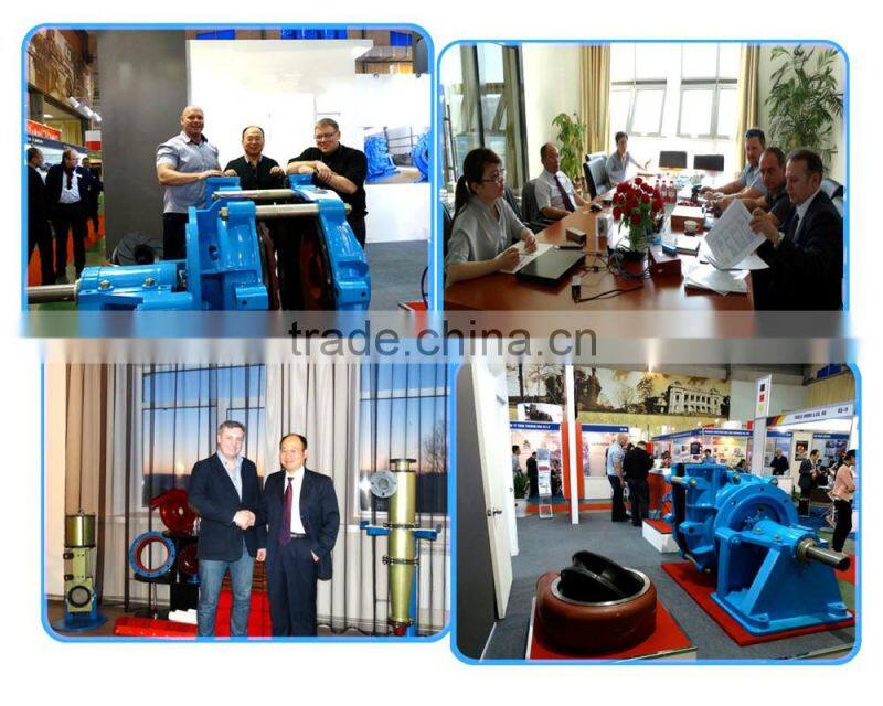 Wholesale Low price High Quality API610 pump with suspended cantilever VS5 type