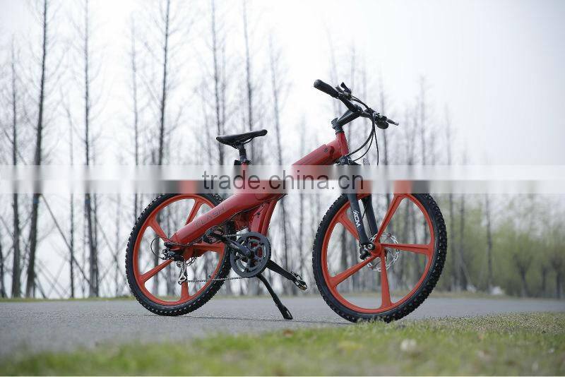 Flash-direct factory welcomed special designed CE/EN14764 Electric bike
