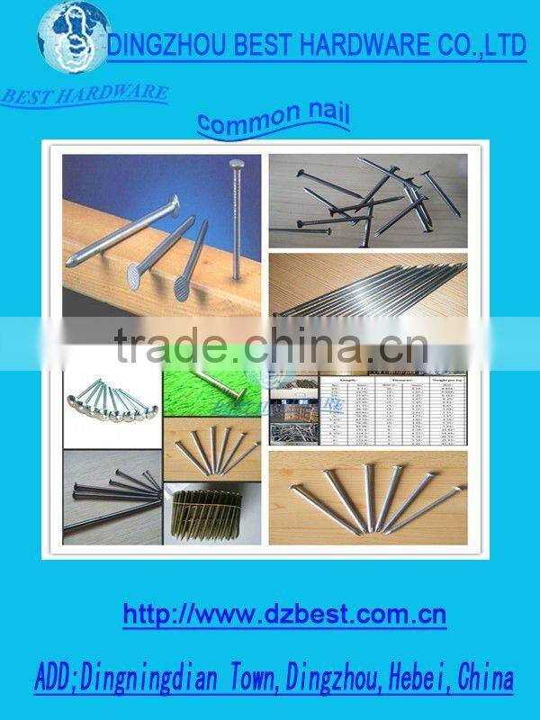 Round head nail Polished nail Iron nail Wire nails Common nails
