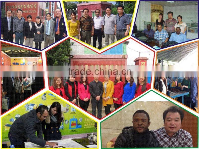 industrial rubber Crusher hot sale in south east countries