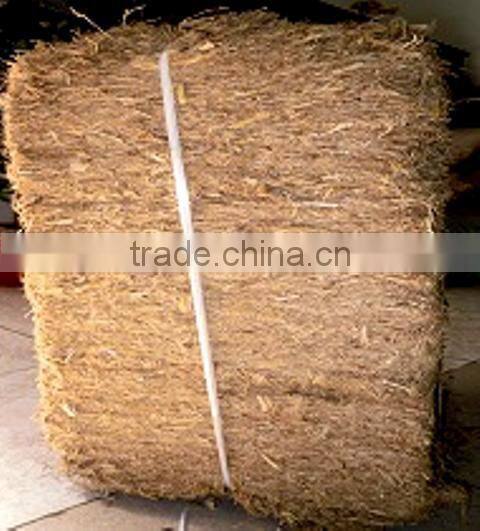 Sugarcane bagasse For Animal Feed competitive price from Vietnam