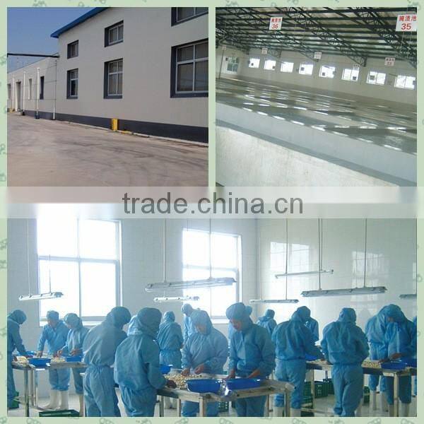 Good quality canned garlic in brine or vinegar