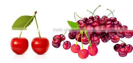 Acerola Cherry Fruit Powder West Indian cherry powder