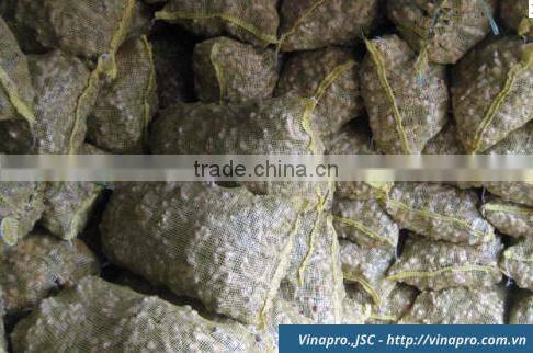 VIETNAM DRIED SLICE GINGER, BEST PRICE, HIGH QUALITY (+841657106604 - WHATSAPP)