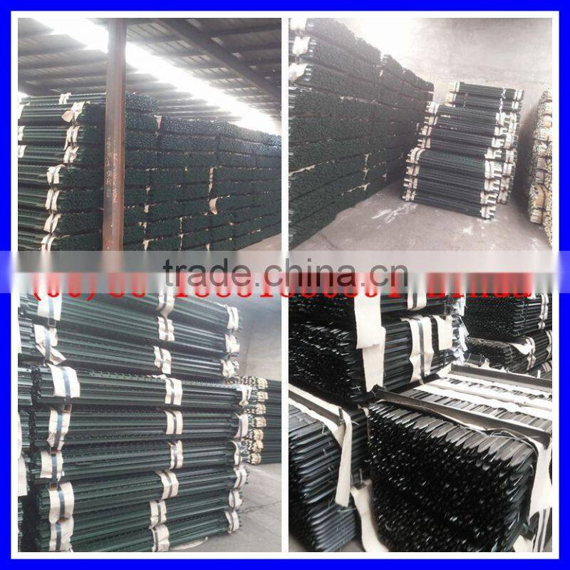 1.25IB/feet studded t post ( Factory & exporter )