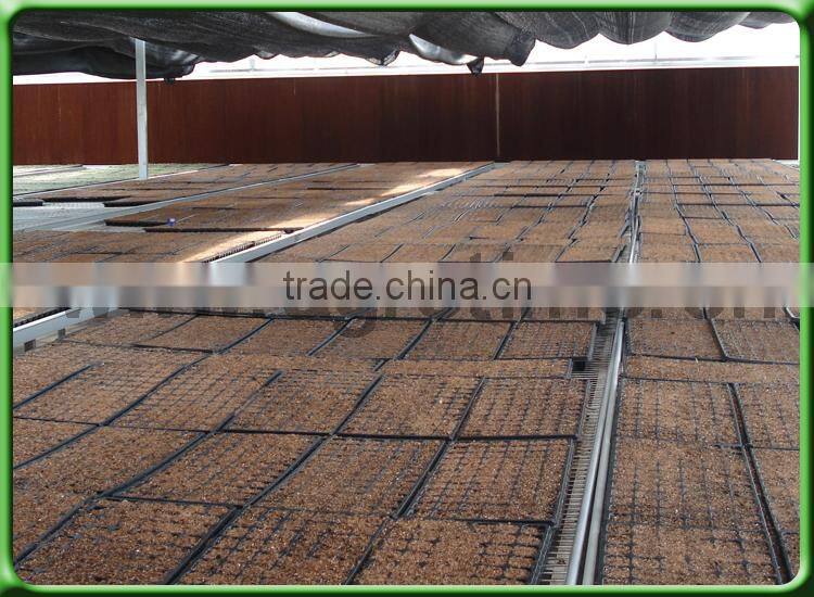 Removable benching system for greenhouse