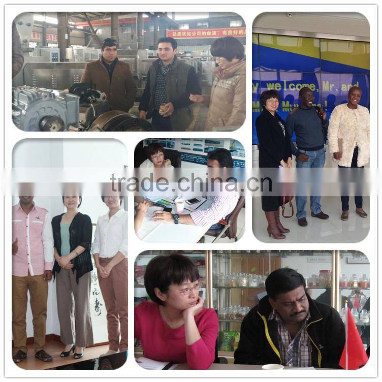 CE ISO new pet food production line dog food production line