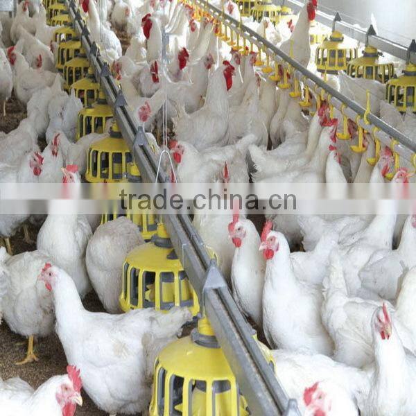Commercial used steel trusses chicken broiler poultry shed design